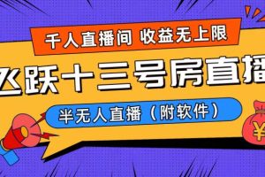 （8711期）爆火飞跃十三号房半无人直播，一场直播上千人，日入过万！（附软件）