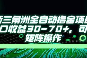 （14191期）最新三角洲全自动撸金项目，单窗口收益30-70+，可批量矩阵操作