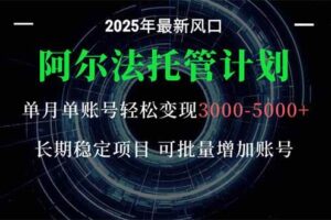 (16360期)阿尔法托管计划 单账号月入3000-5000,长期稳定项目,新手小白轻松上手。