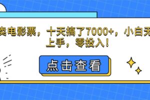 (16373期)靠卖电影票,十天搞了7000+,小白无门槛上手,零投入!