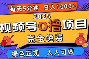 (16388期)2025视频号0撸项目,5分钟一个号,日入1000+,人人可做