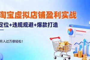 (16387期)淘宝虚拟店铺盈利实战:定位+违规规避+爆款打造,月入过万很轻松!