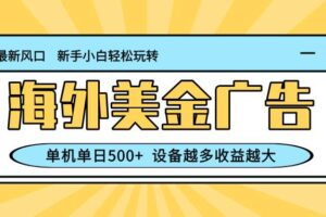 (16454期)最新蓝海项目,海外美金广告,单机单日500+,可矩阵放大,设备越多收益…
