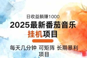 (16491期)2025年最新番茄音乐人挂机项目,每天几分钟,月入1000+,可矩阵,一台…