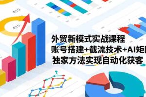 (16496期)外贸新模式实战课程,账号搭建+截流技术+AI矩阵+独家方法实现自动化获客