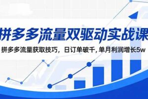 (16563期)拼多多流量双驱动实战课:拼多多流量获取技巧,日订单破千,单月利润增长5w