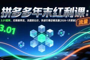 (17100期)拼多多年末红利课:3.01矩阵,无限推荐流,洗图防比价,快速引爆店铺流量(2026-1月更新)