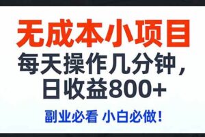 （17447期）无成本小项目,每天操作几分钟,日收益800+ 副业必看 小白必做！