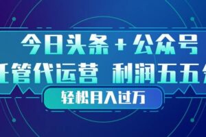 （17617期）头条加公众号 托管代运营 利润分成模式 轻松月入过万