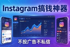 （17731期）Instagram搞钱神器：月涨6万粉+月入5万刀，不投广告不私信，靠算法+低价产品